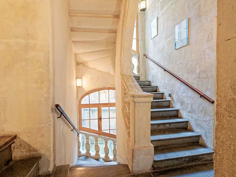 Lusenta — photo 4
